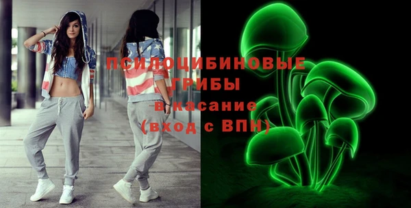 винт Алзамай