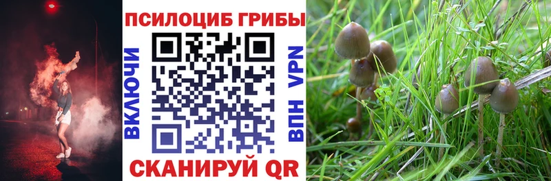 Псилоцибиновые грибы мицелий  где продают наркотики  дарк нет клад  Пыталово 